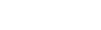 BORRELL ASSOCIATES INC.